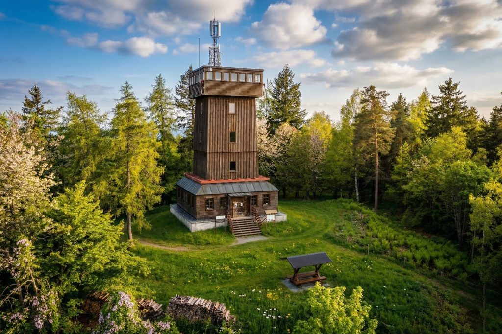 kapellenberg_fruehling